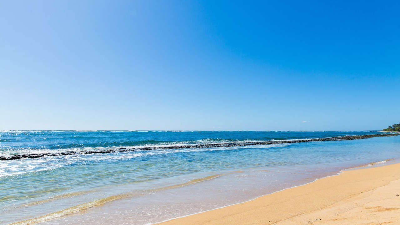 Photo of Others in Wailua
