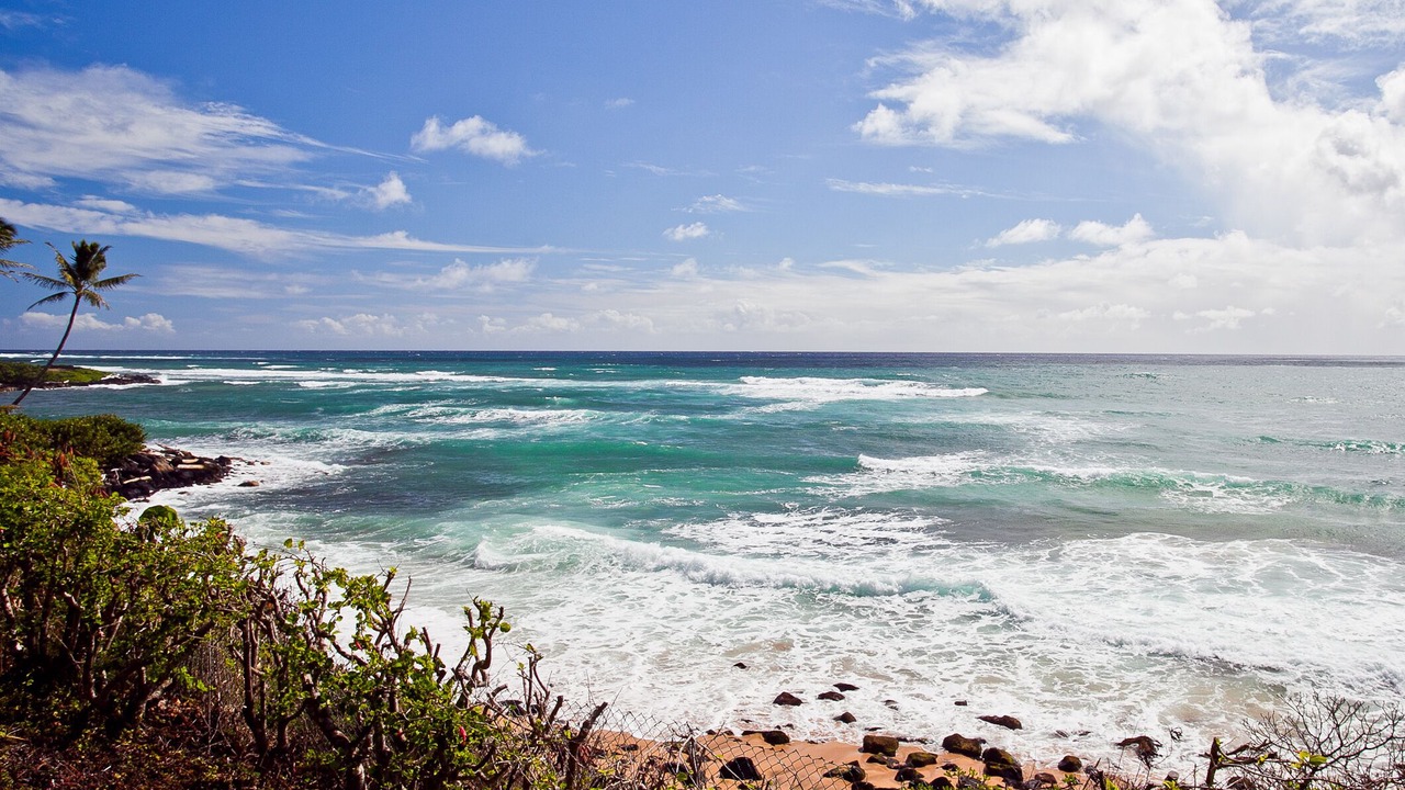 Photo of Others in Wailua
