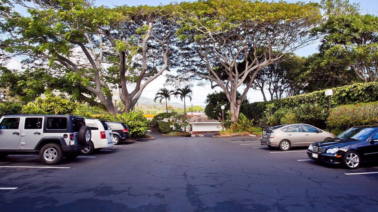 Photo of Outdoor in Wailua