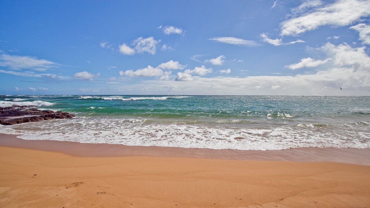 Photo of Others in Wailua