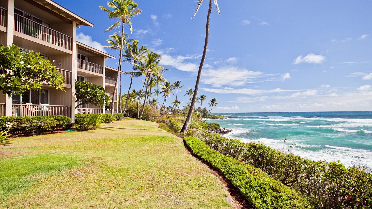 Photo of Outdoor in Wailua