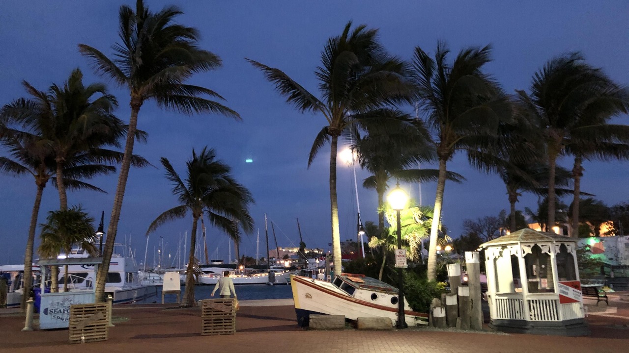 Photo of Others in Bahama Village
