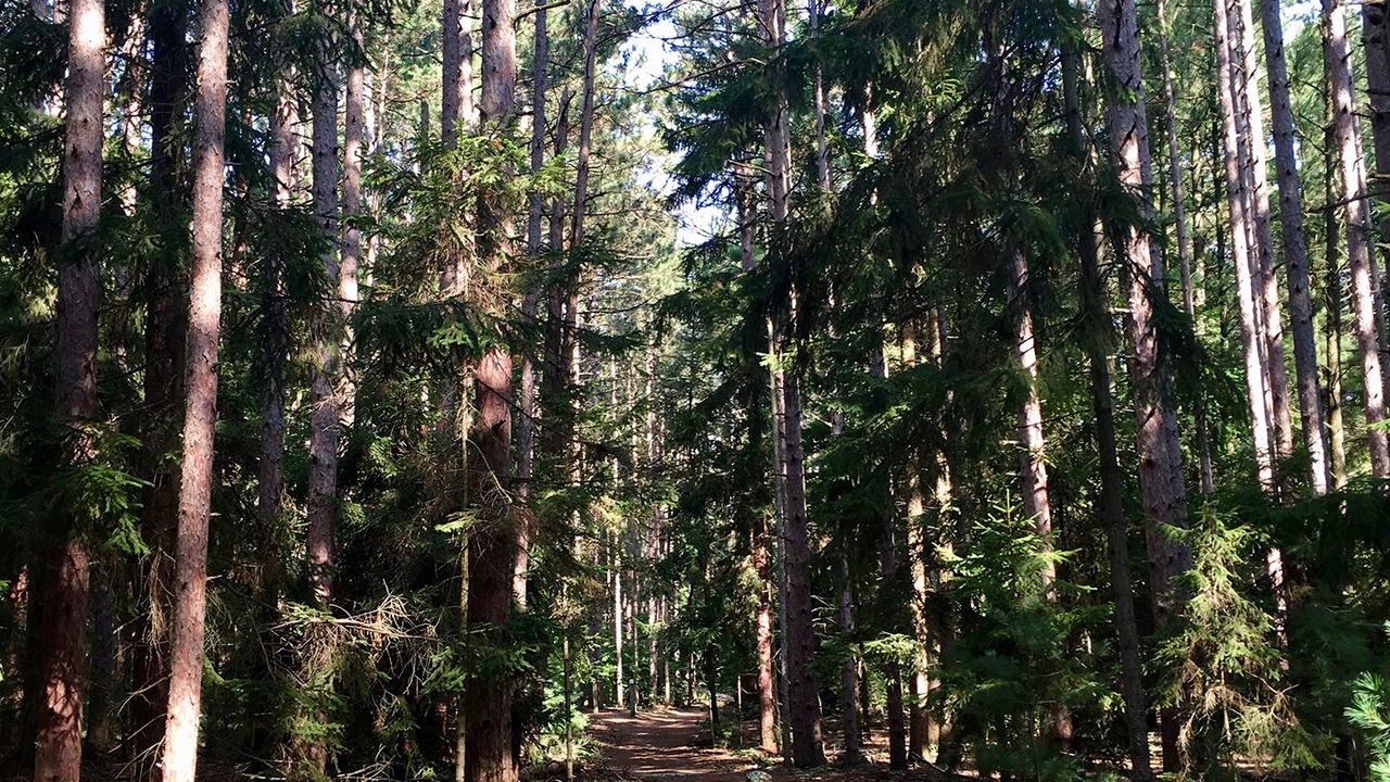 Photo of Outdoor in Fennville