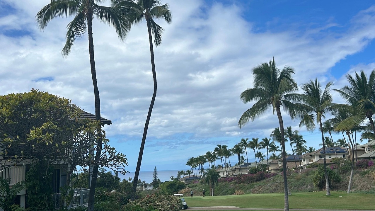 Photo of Others in Wailea