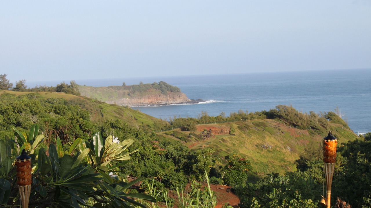 Photo of Others in Kilauea