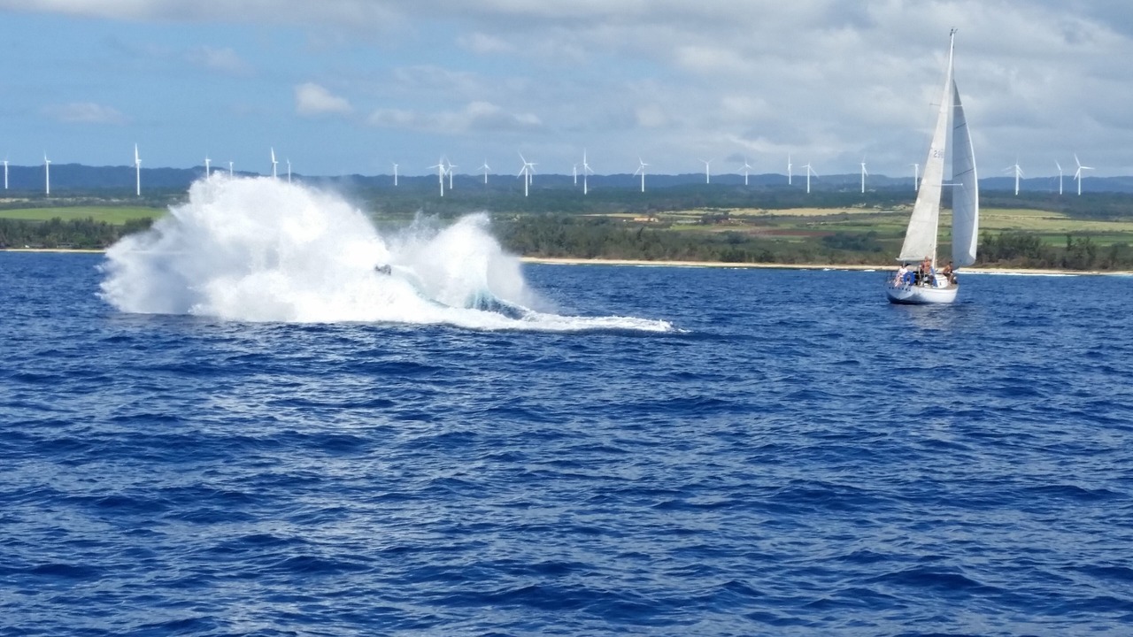 Photo of Others in Laie