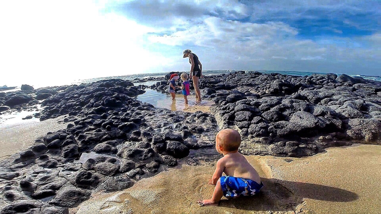 Photo of Others in Waialee
