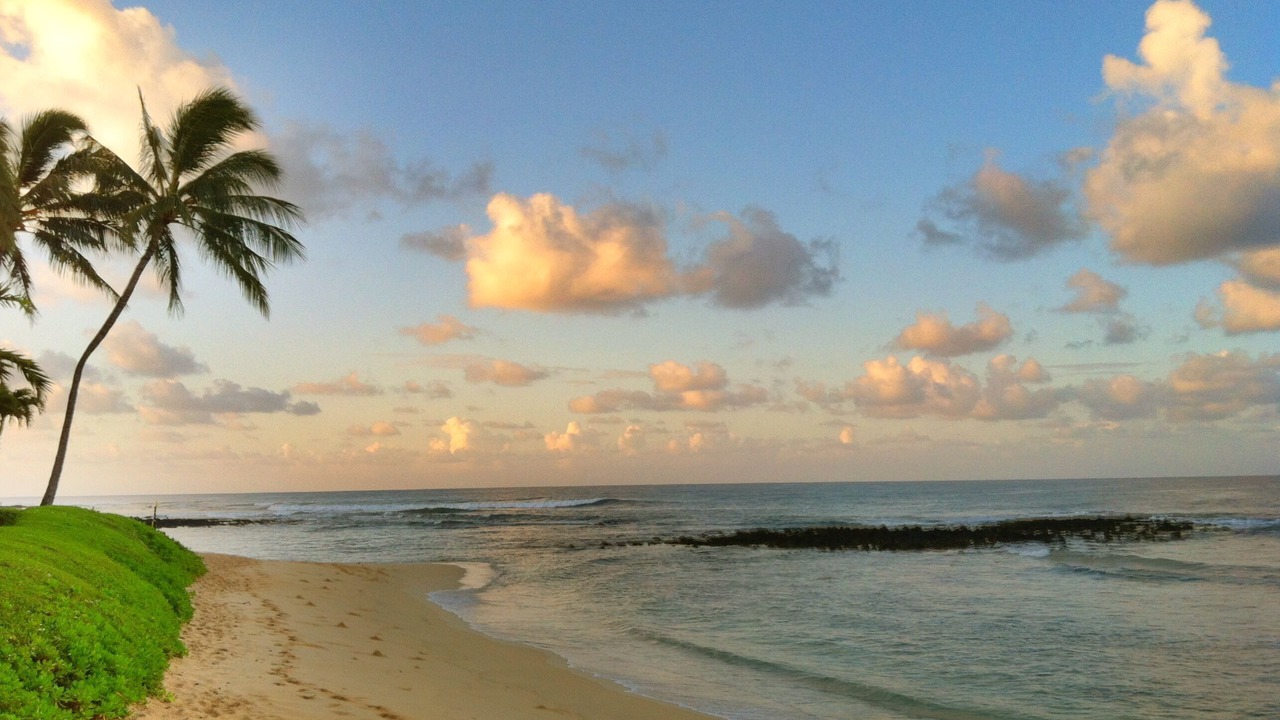 Photo of Others in Poipu