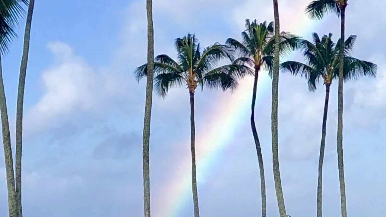 Photo of Others in Poipu