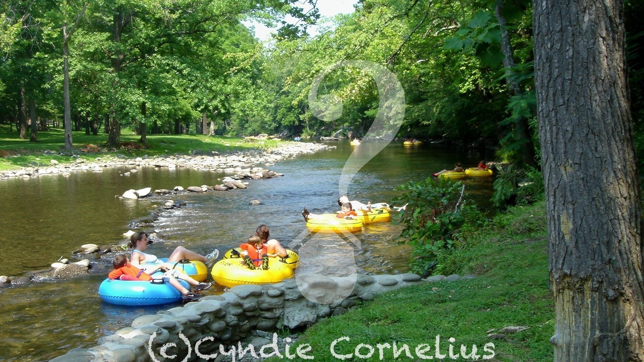 Photo of Others in Townsend