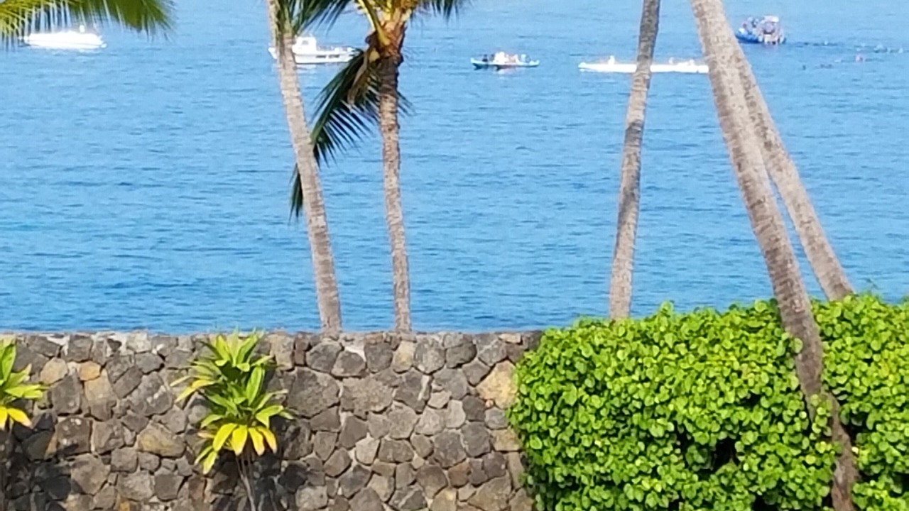 Photo of Others in Kahaluu Bay