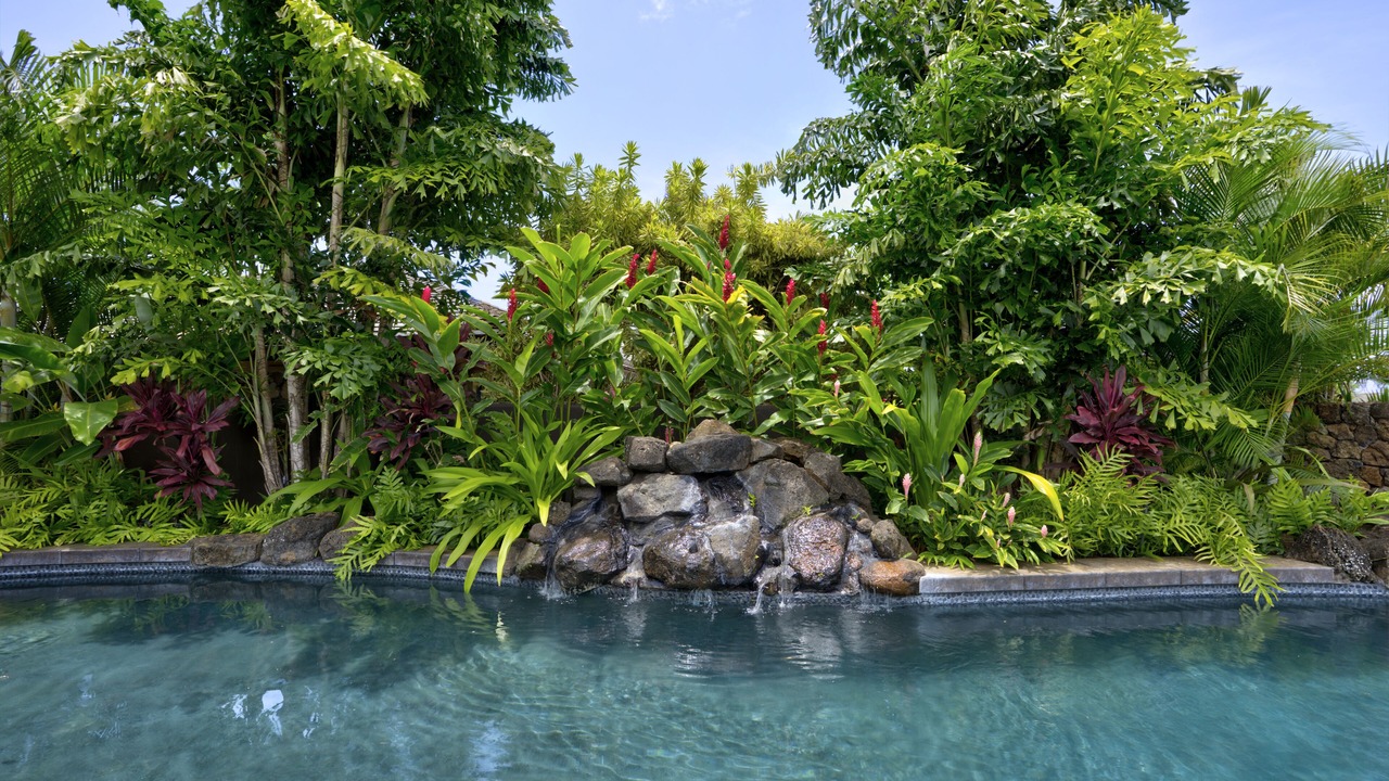 Photo of Others in Poipu