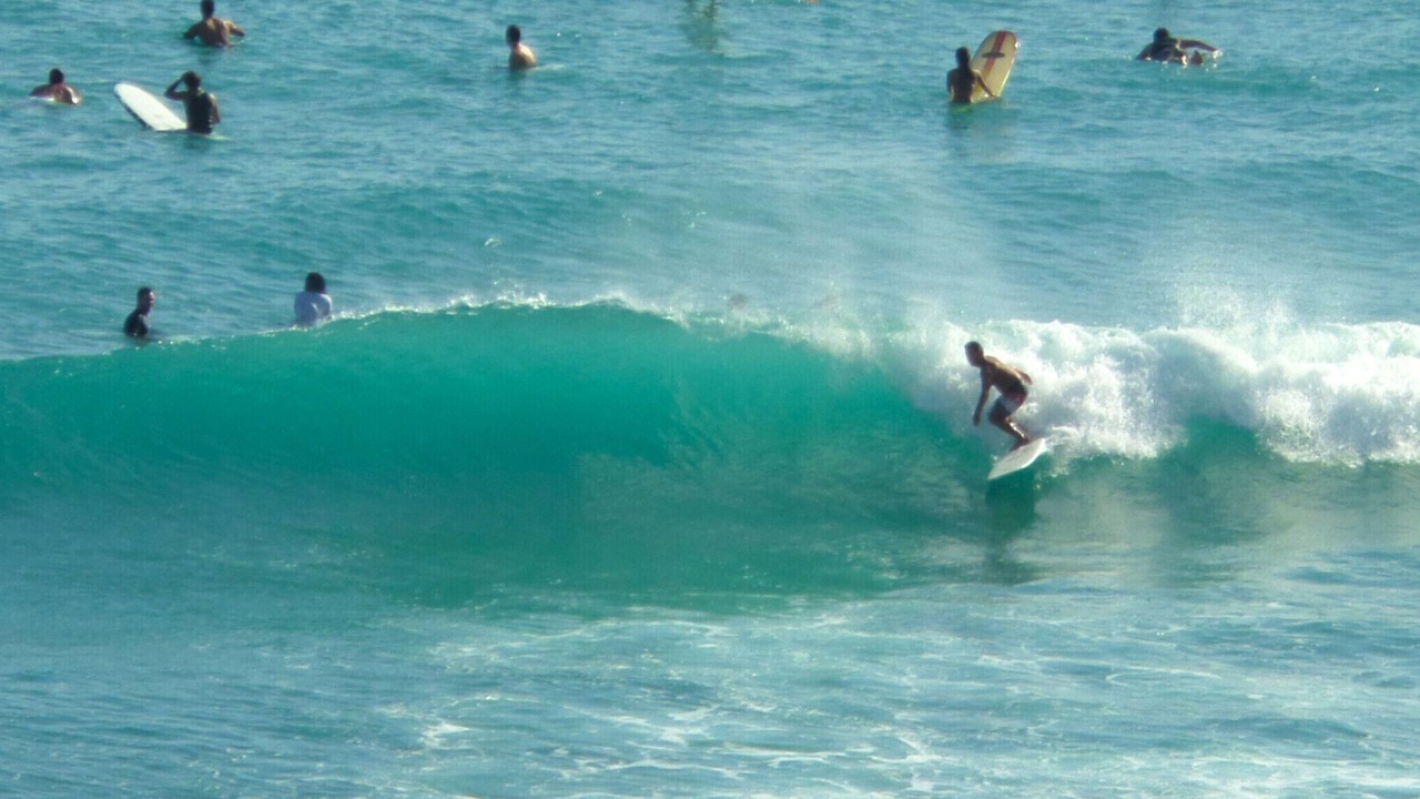 Photo of Others in Waikiki