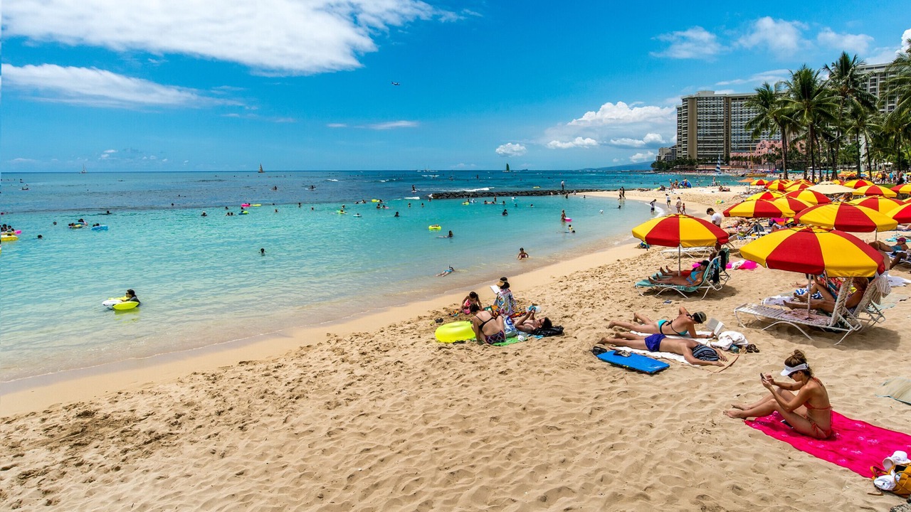 Photo of Others in Waikiki