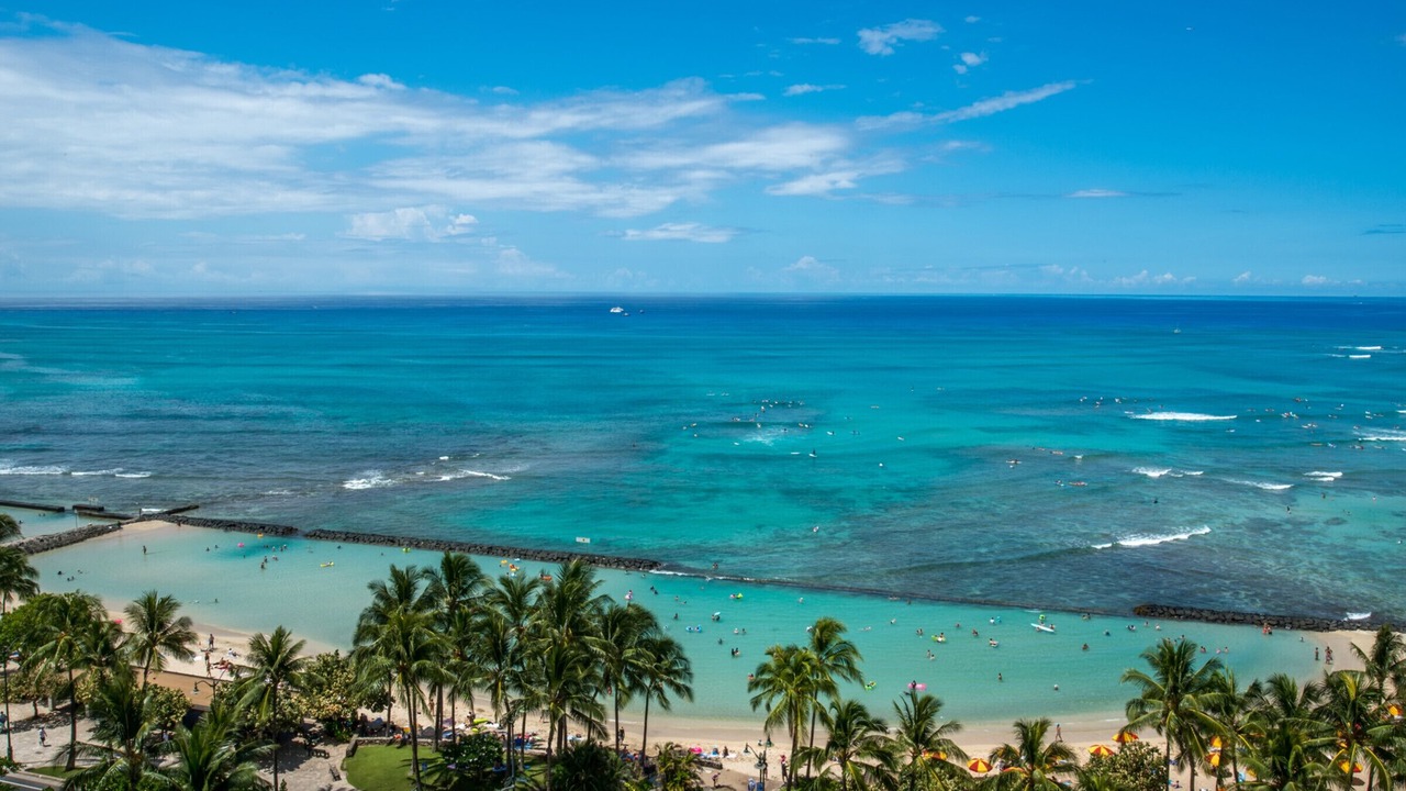 Photo of Others in Waikiki