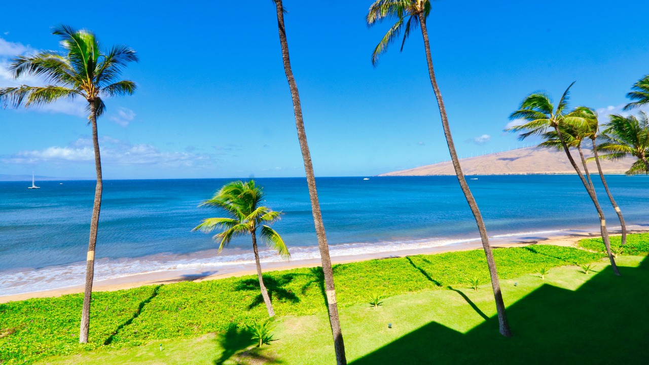 Photo of Others in Kihei