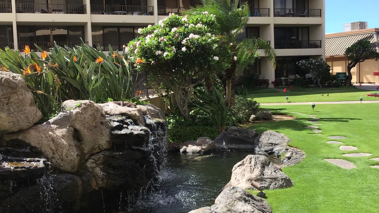 Photo of Outdoor in Kihei