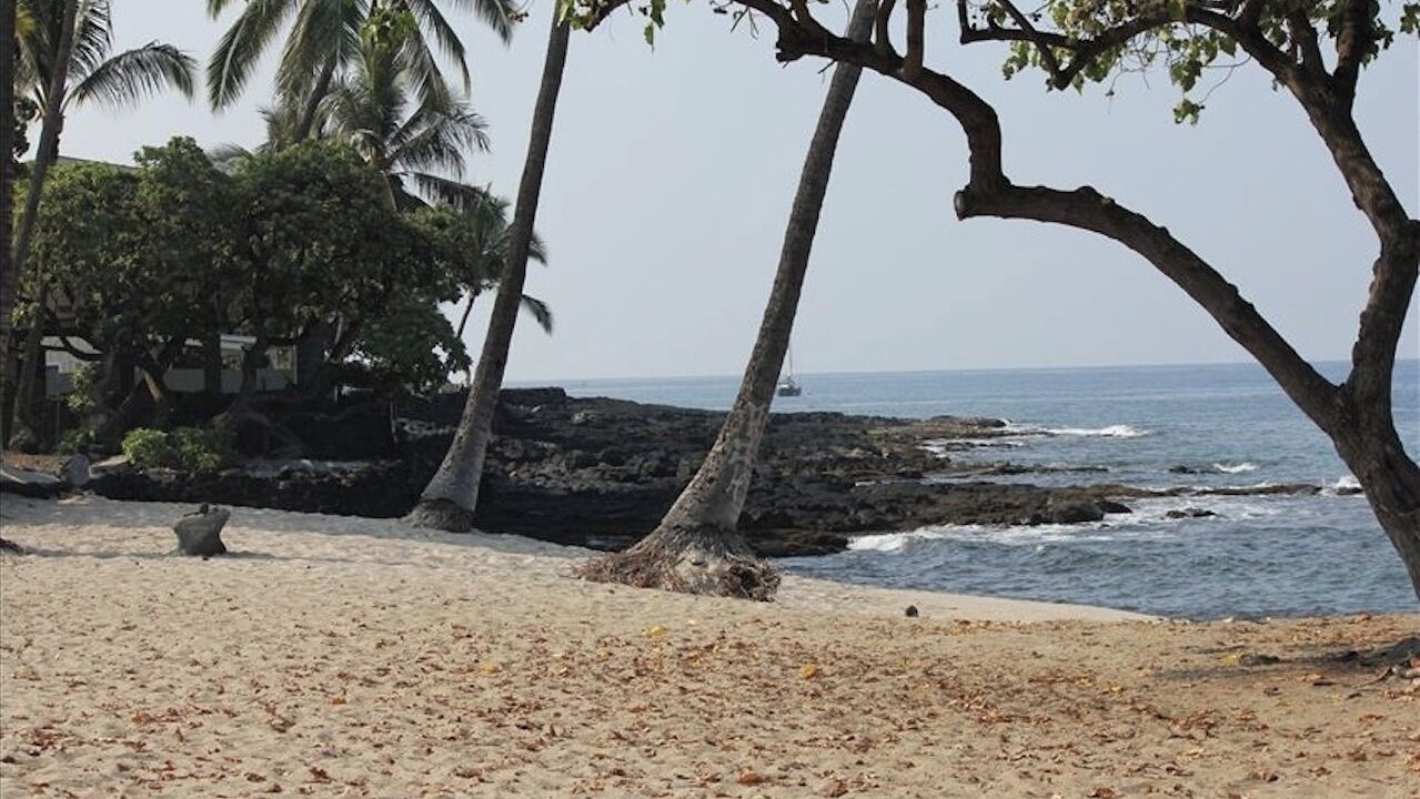 Photo of Others in Historic Kailua Village