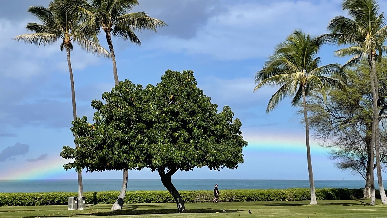 Photo of Others in Ko Olina