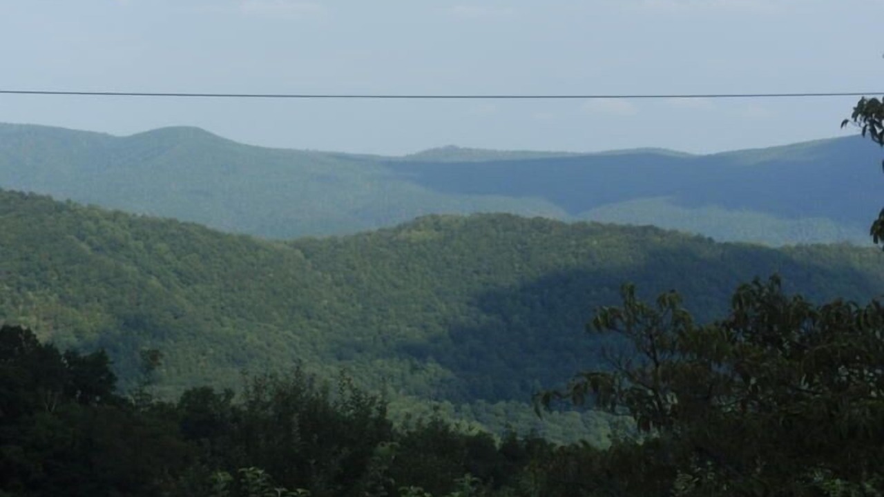 Photo of Others in Spruce Pine