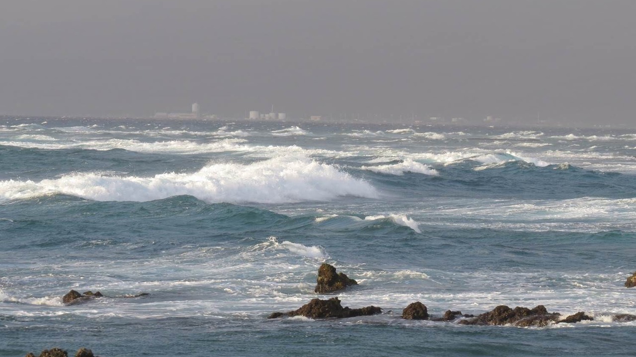 Photo of Others in Kamuela