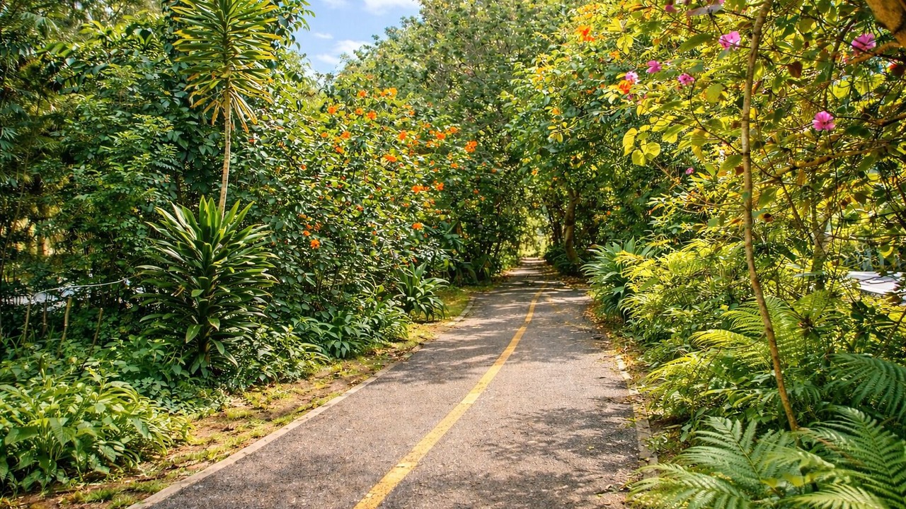 Photo of Others in Pupukea