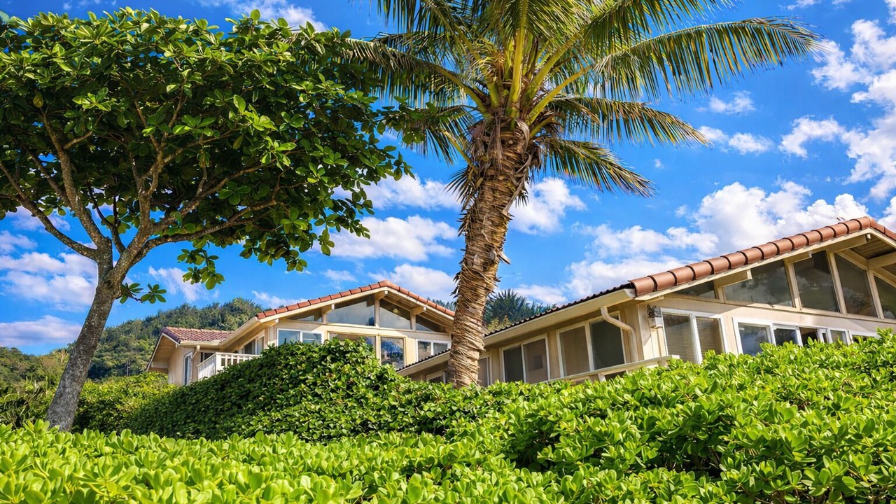 Photo of Outdoor in Pupukea