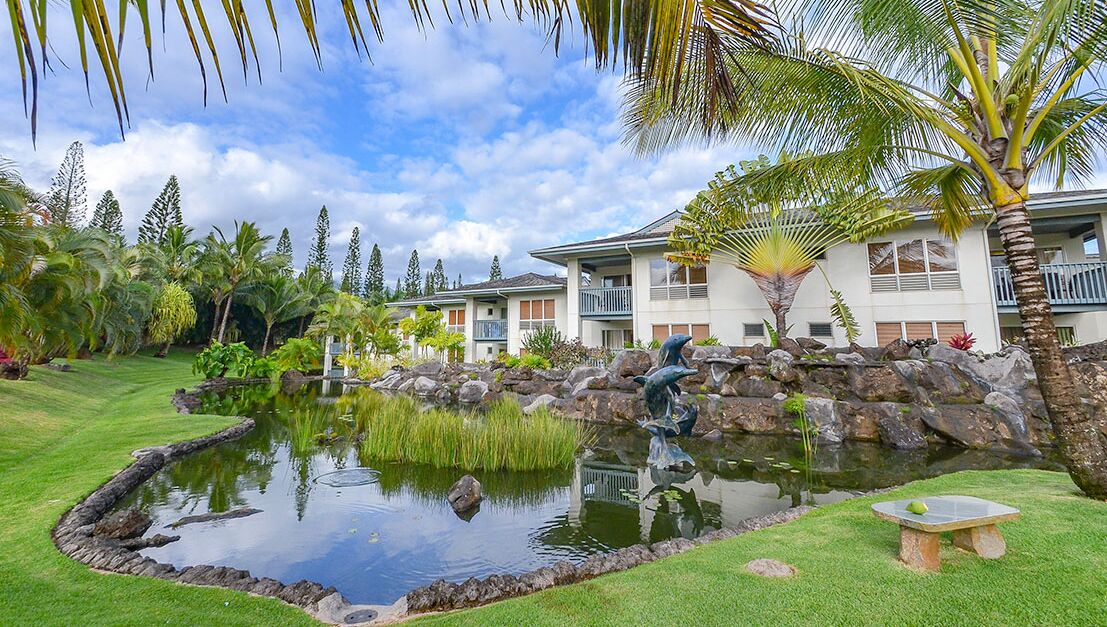 Photo of Outdoor in Princeville