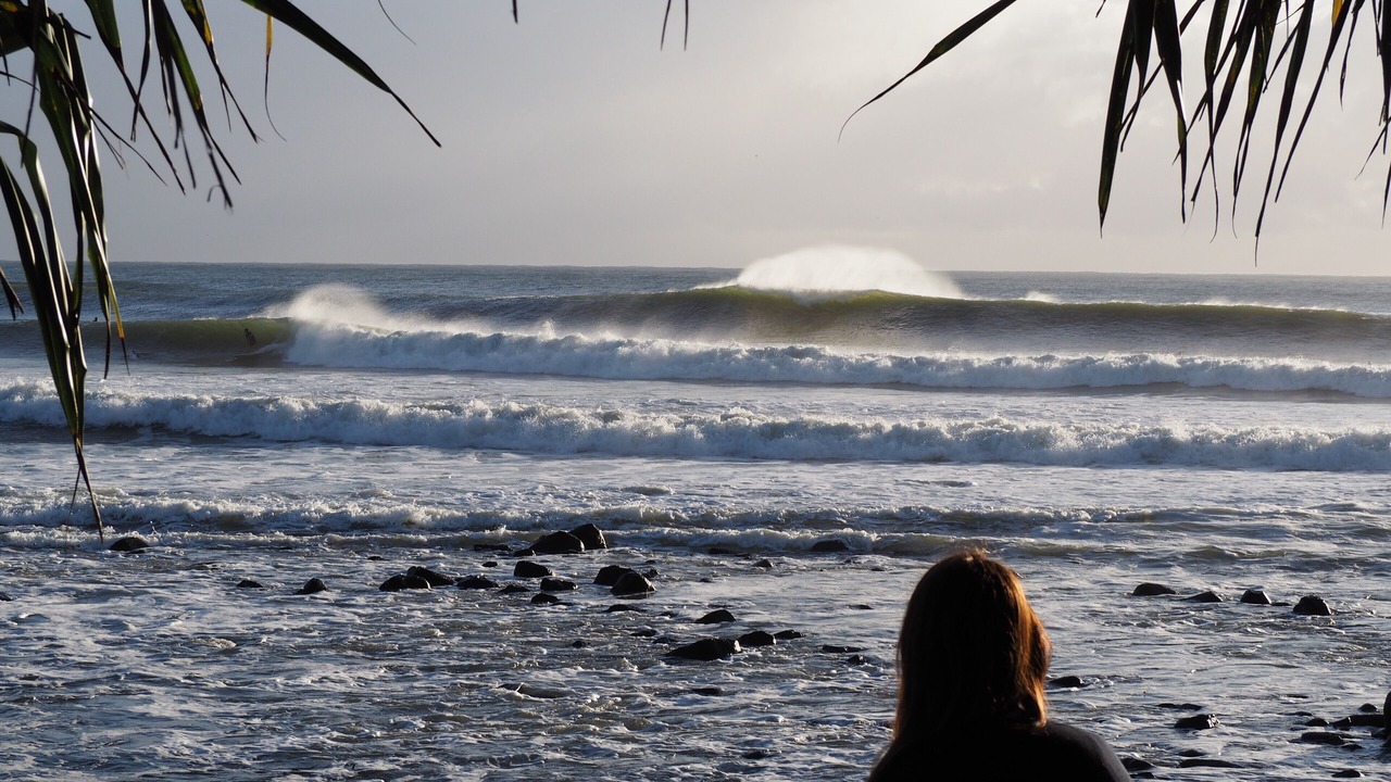 Photo of Others in Burleigh Heads