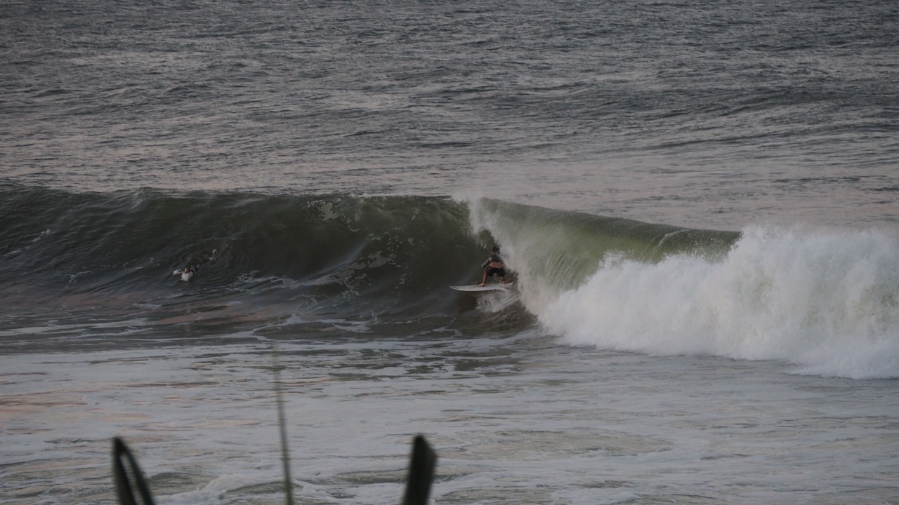 Photo of Others in Burleigh Heads