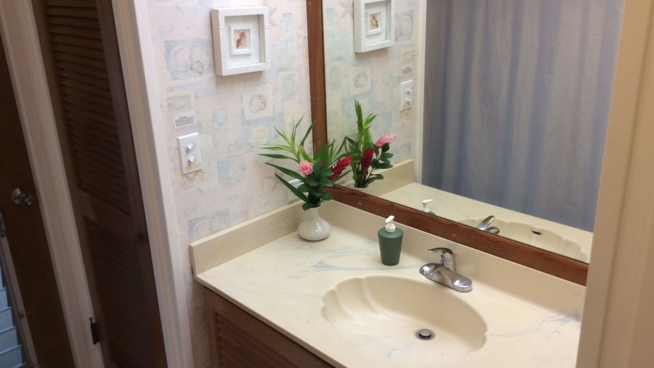 Photo of Bathroom in Kilauea