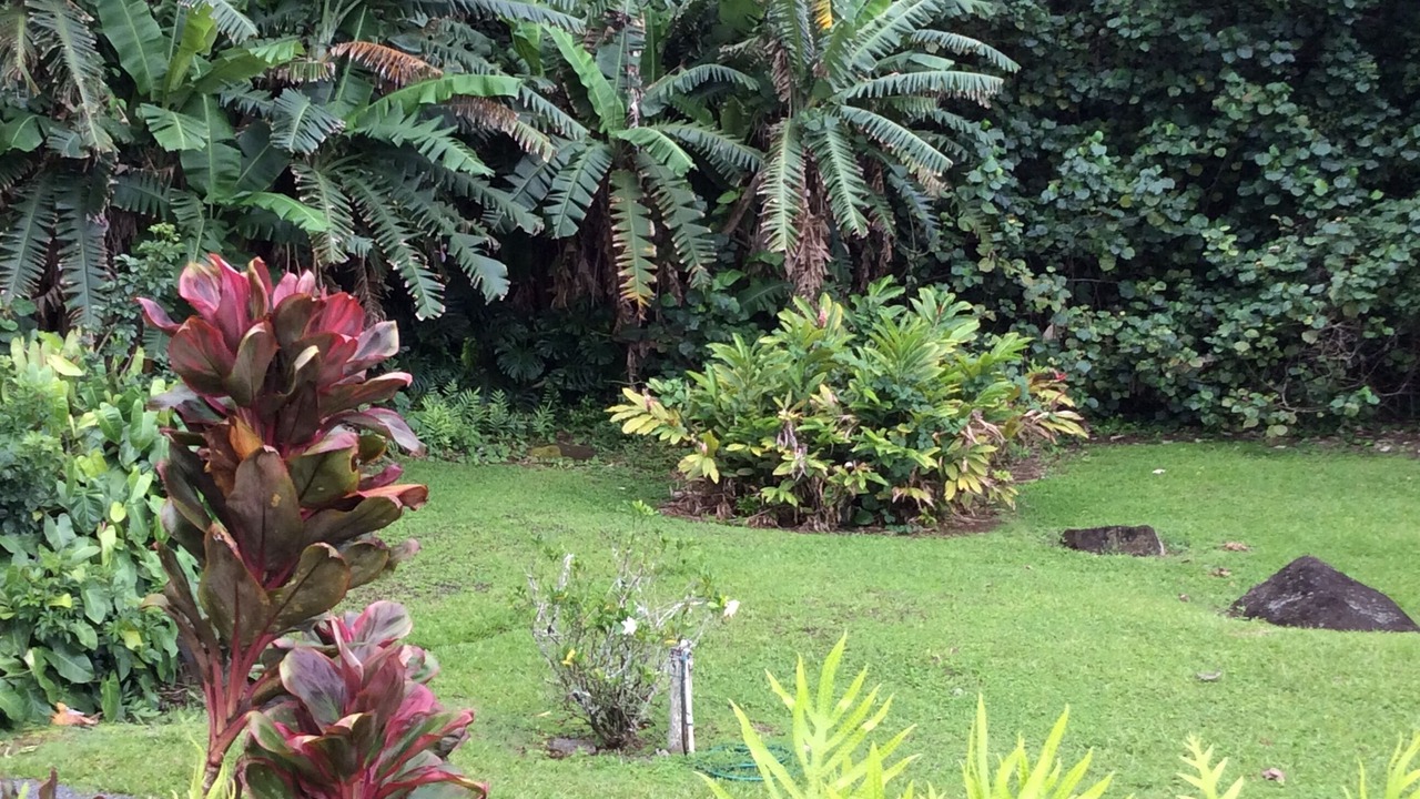 Photo of Others in Kilauea
