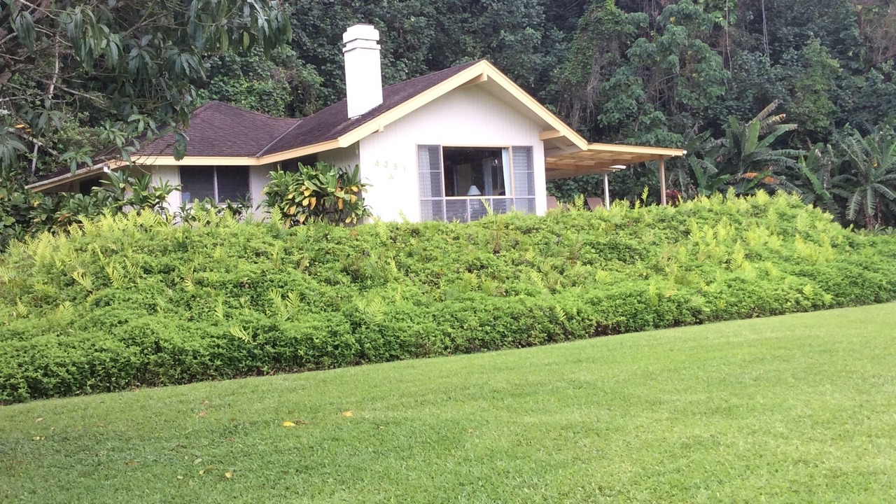 Photo of Others in Kilauea