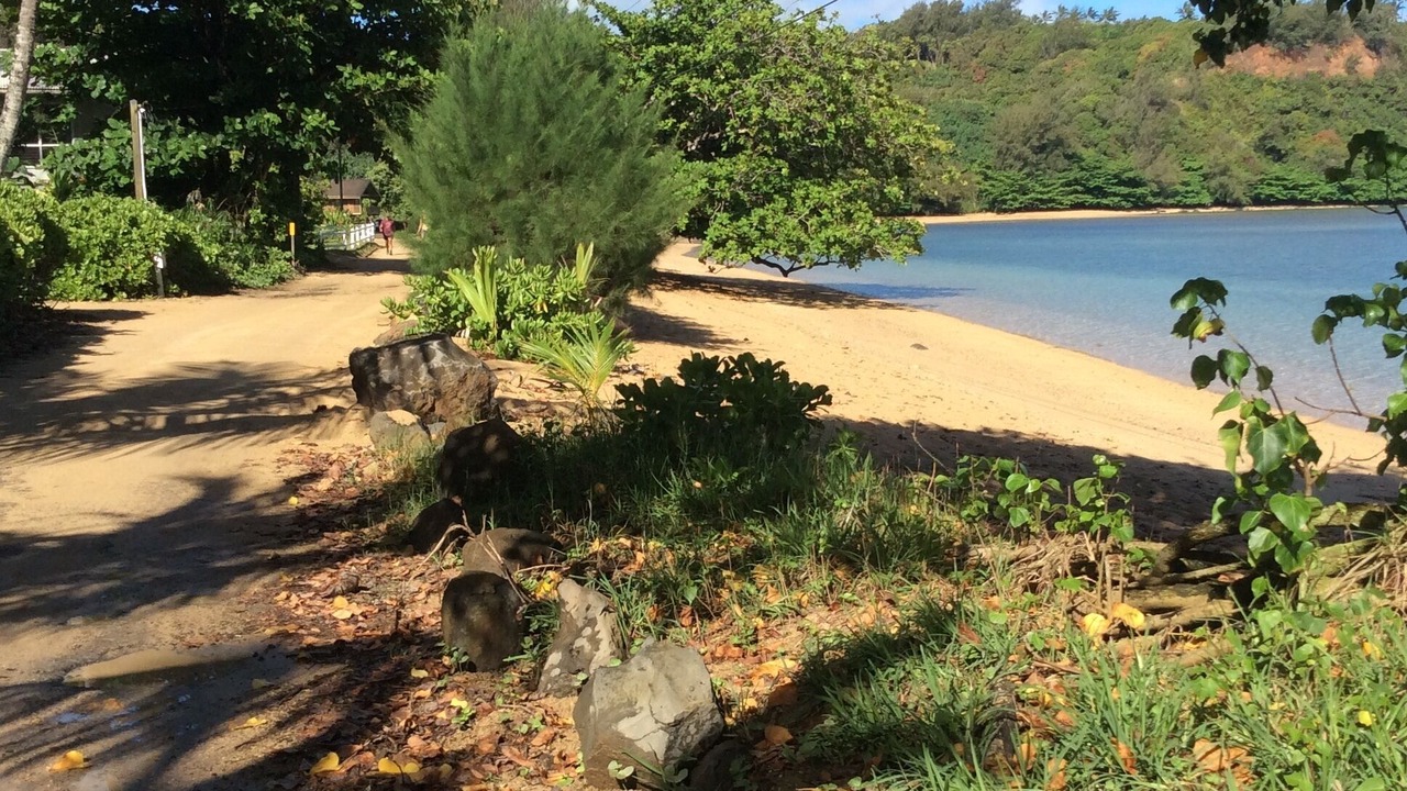 Photo of Others in Kilauea