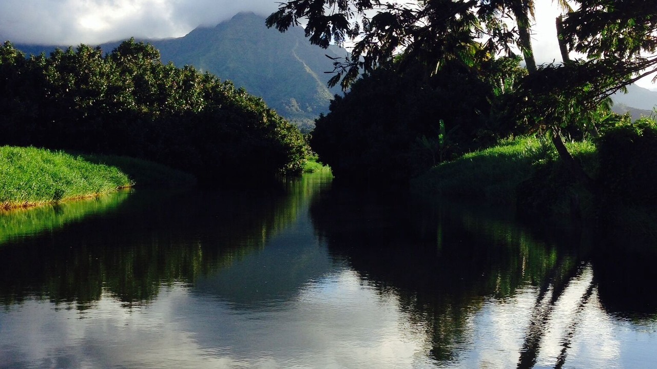 Photo of Others in Hanalei