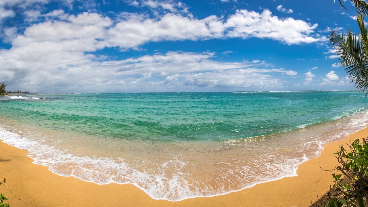 Photo of Others in Laie