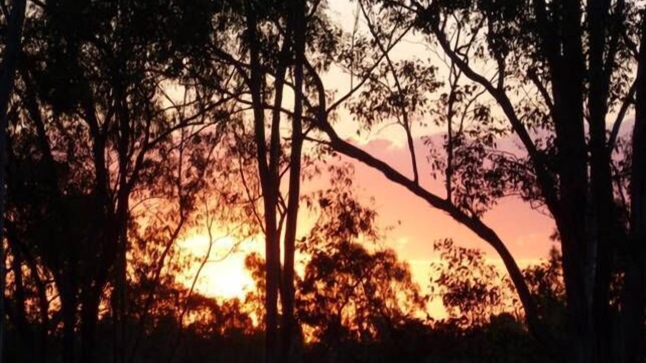 Photo of Outdoor in Boyland