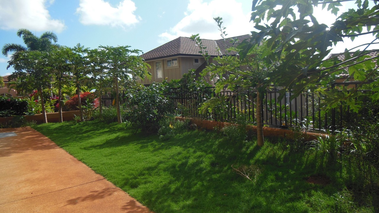 Photo of Outdoor in Makakilo City