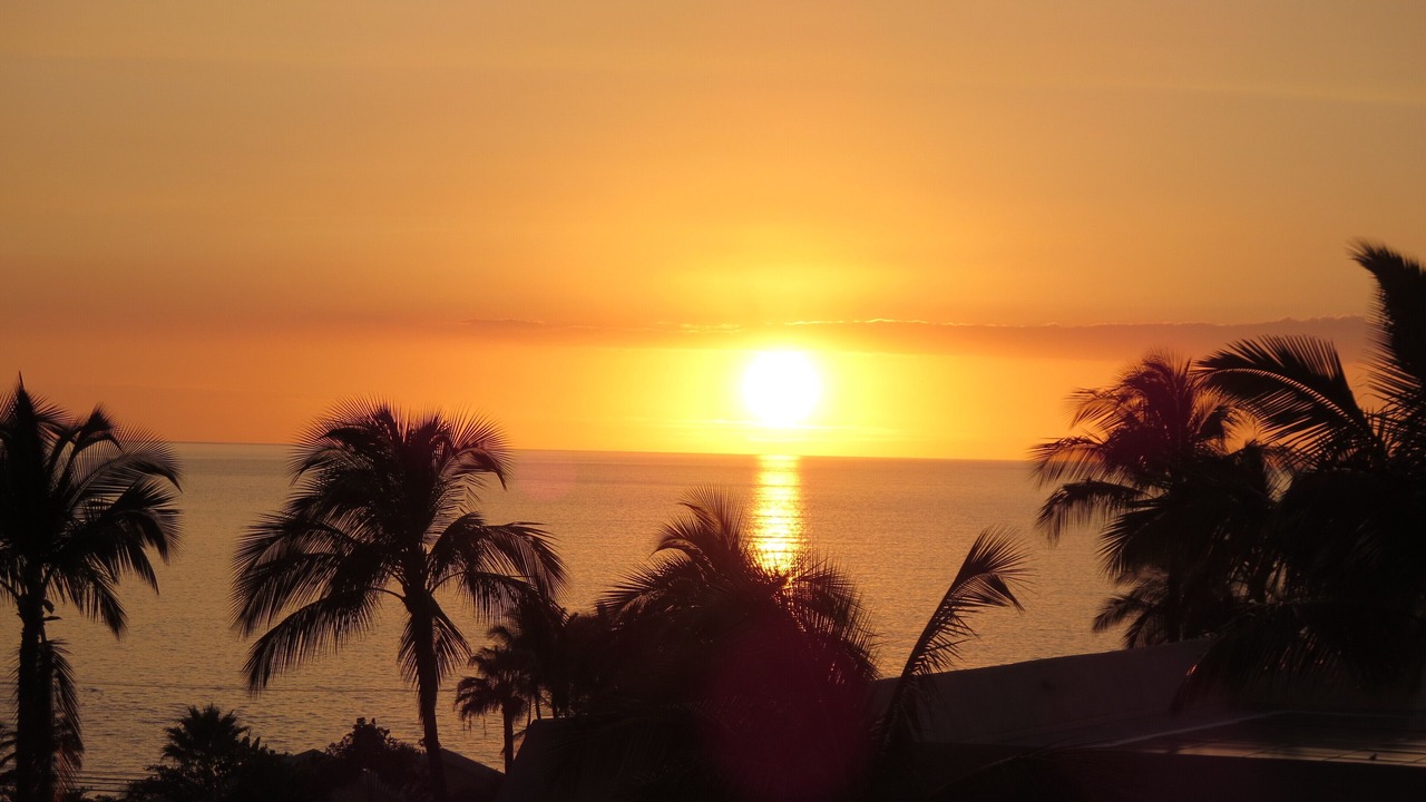 Photo of Others in Kihei