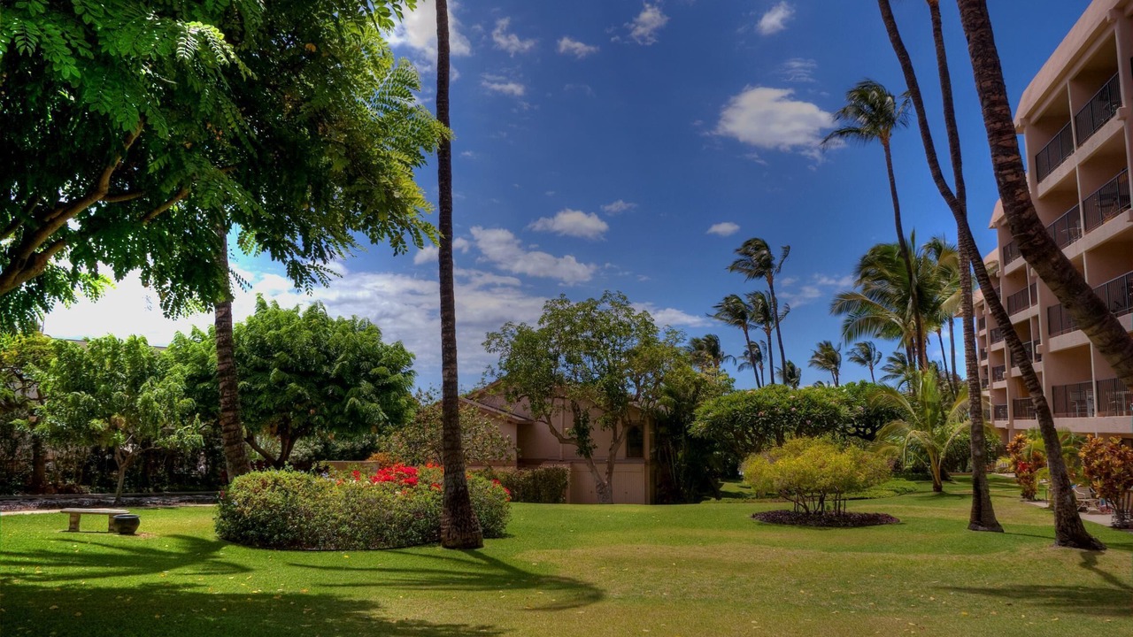Photo of Others in Kihei