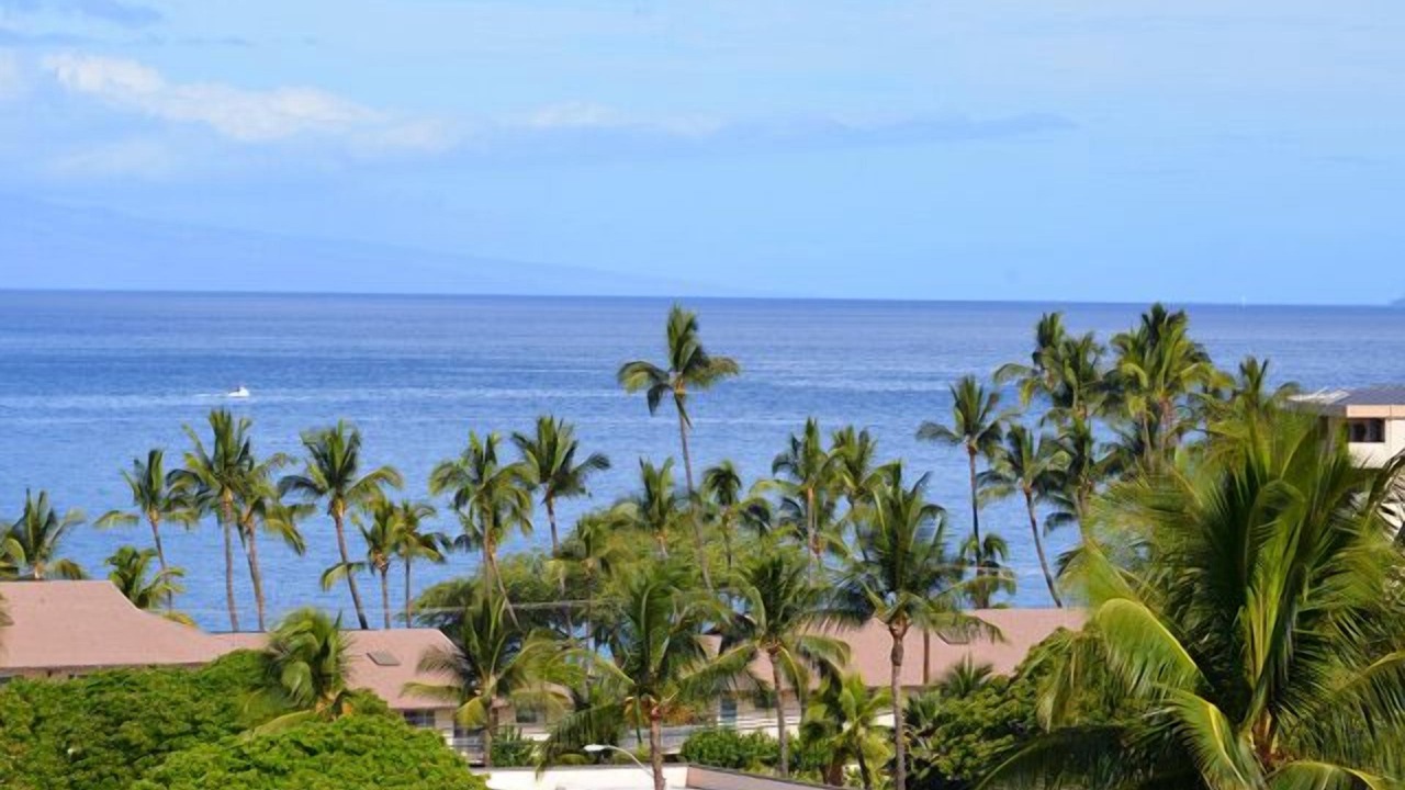 Photo of Others in Kihei