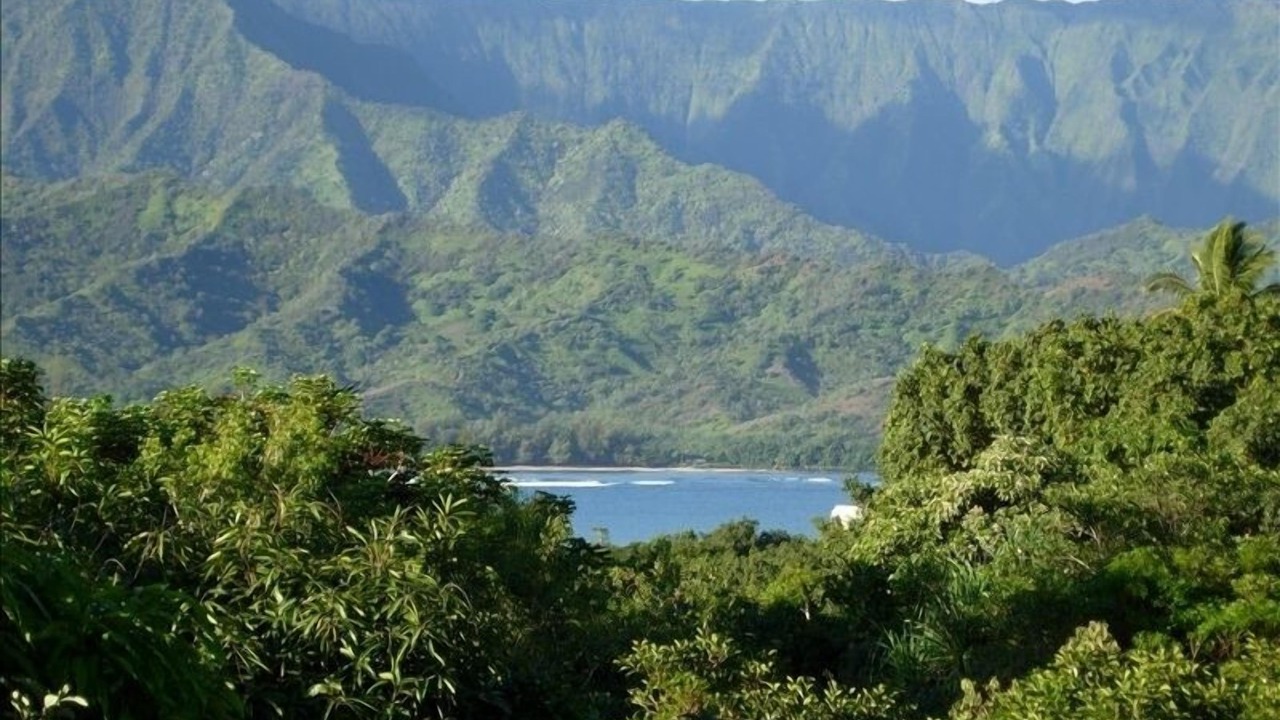 Photo of Others in Princeville