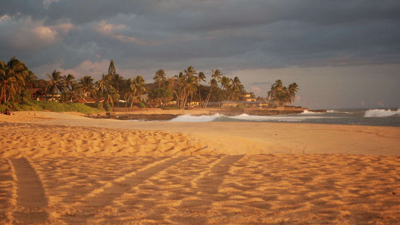 Photo of Others in Makaha