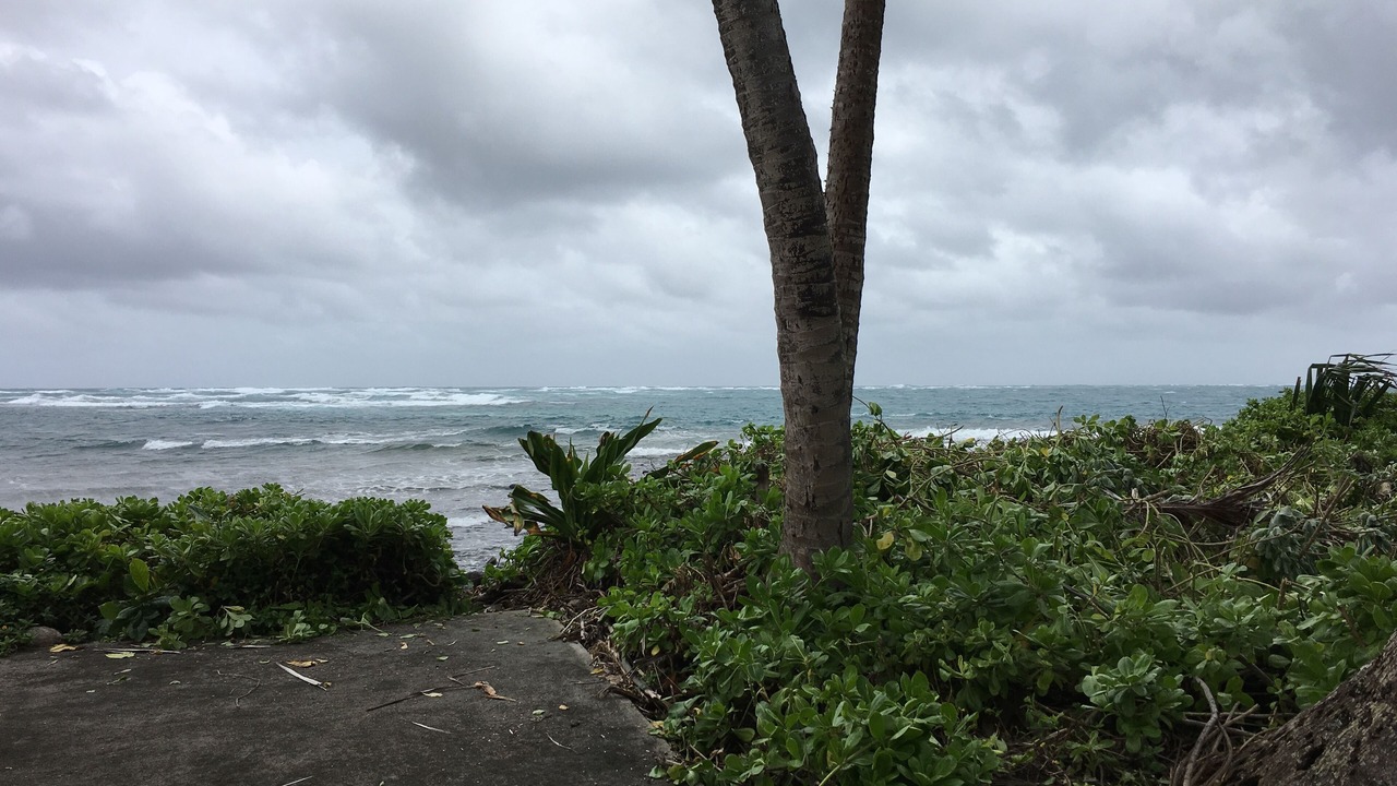 Photo of Others in Hauula