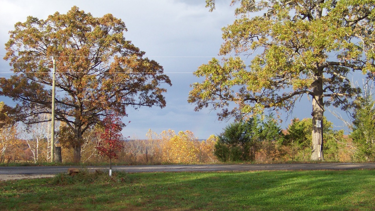 Photo of Outdoor in Steelville