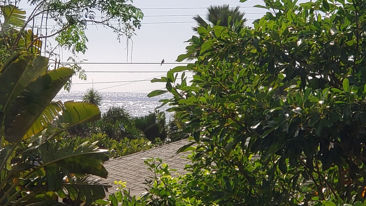 Photo of Bedroom in Makaha