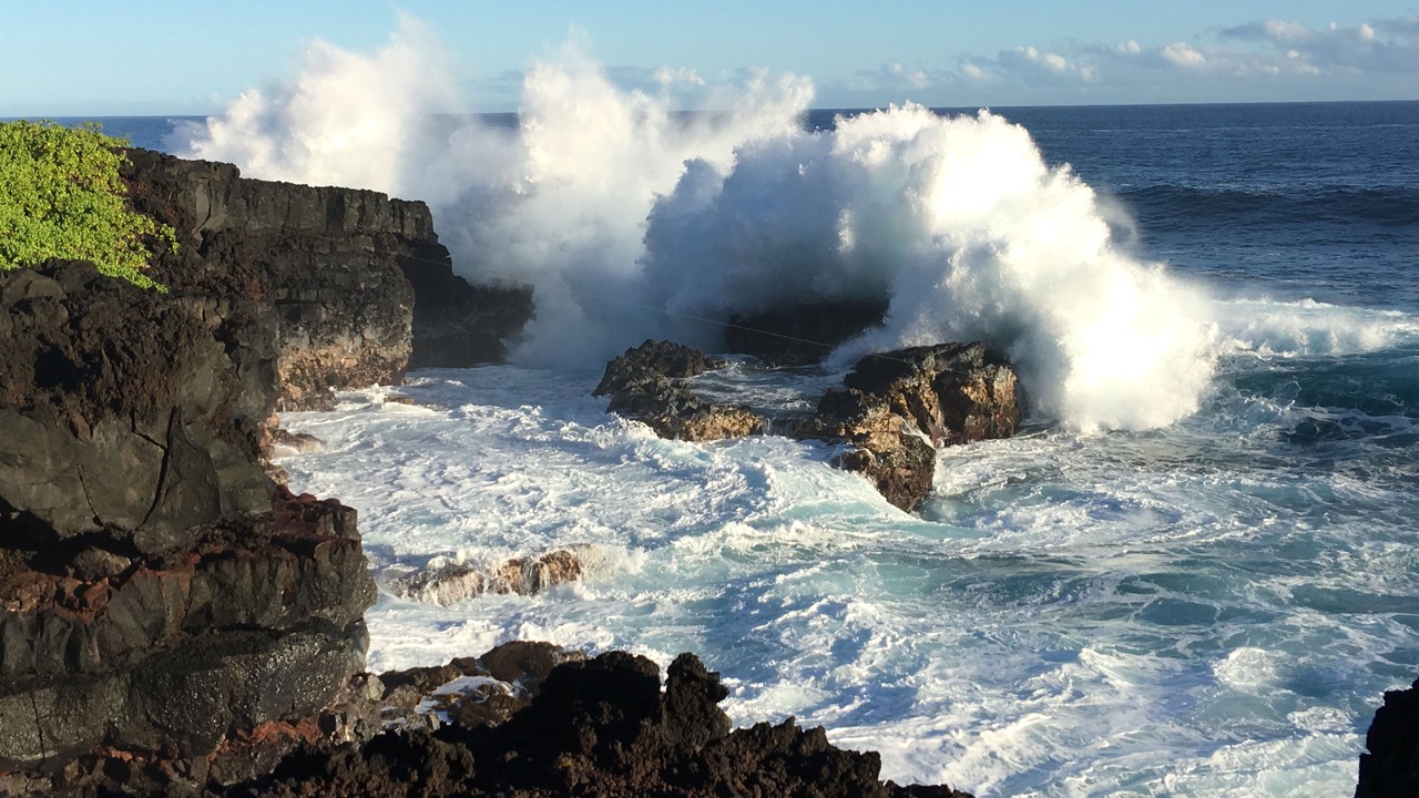 Photo of Others in Kapoho