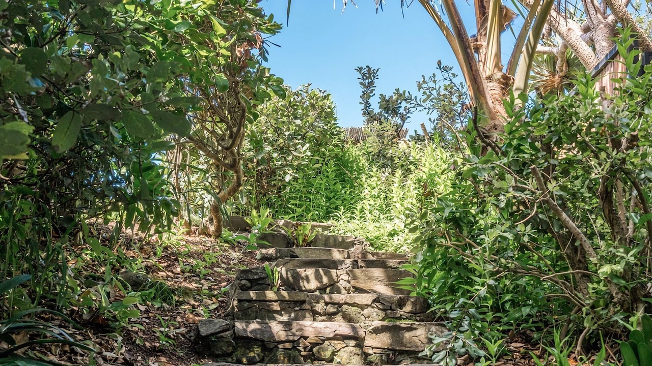 Photo of Outdoor in Byron Bay