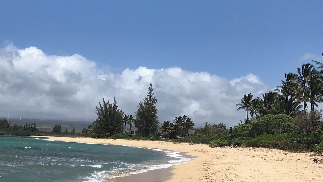 Photo of Others in Waialua