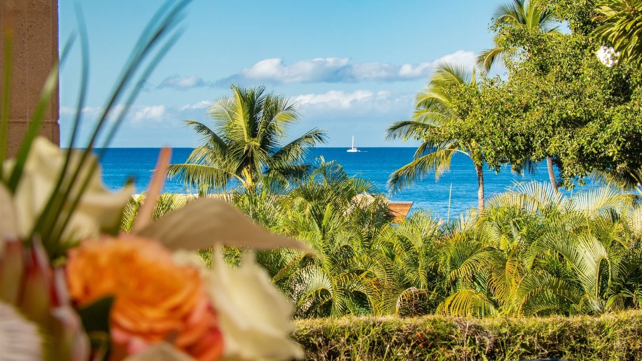 Photo of Outdoor in Wailea